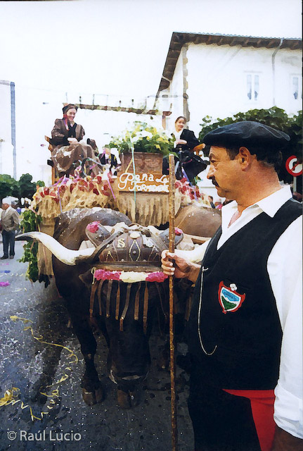 Las Damas y el Día de Campoo