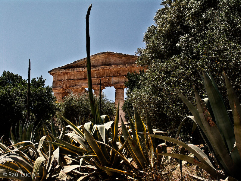 01 Segesta